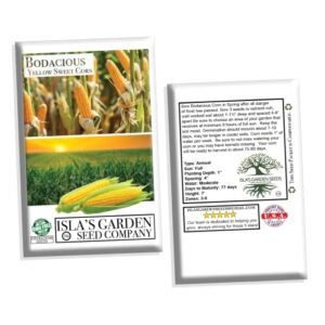 Bodacious RM Sweet Yellow Corn Seeds for Planting, 50+ Seeds Per Packet, (Isla's Garden Seeds), Non GMO Seeds, 90% Germination Rates, Scientific Name: Zea Mays, Great Home Garden Gift