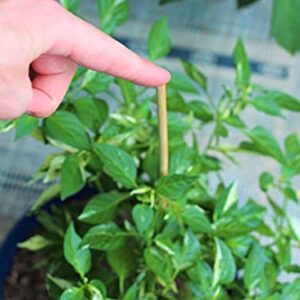 40 Pack 18'' Natural Bamboo Plant Stakes, Wood Plant Supports, Wood Garden Sticks for Plants Tomato Floral Potted, Wooden Sign Posting Garden Sticks