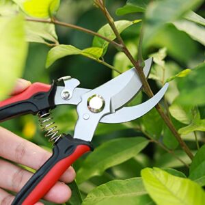 Pruning Shears, Professional Garden Branch Scissors Clippers Set, Bypass Gardening Hand Pruners Tools Kit, Stainless Steel Sharp Cutter Secateurs