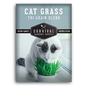 survival garden seeds – cat grass seed for planting – packet with instructions to plant and grow greens for your pet indoors or outdoors in a container or garden – non-gmo heirloom variety