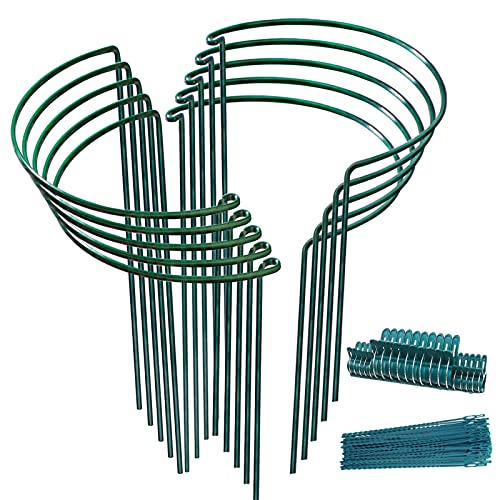 10pack Garden Plant Support Stake 10" Wide x 16" High Half Round Metal Garden Plant Support Ring Border Support, Plant Support Ring Cage for RoseFlowers Vine Tomato with 20pack Plant Clips &Plant Ties