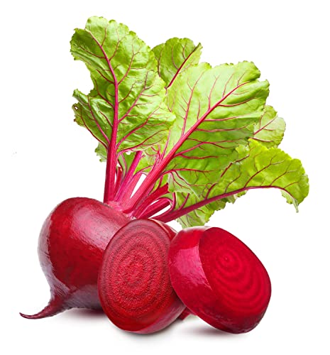 Ruby Queen Beet Seeds | Beet Seeds for Planting Outdoor Gardens | Heirloom & Non-GMO | Planting Instructions Included