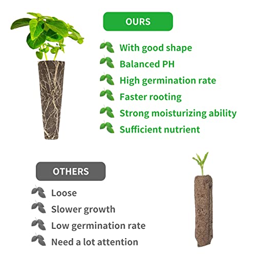 Alphatool 100 Pack Plant Seed Starters Sponges Compatible Seed Grow Pod Replacements Root Growth Sponges Gardening Accessories Fits AeroGarden Hydroponic Garden System Seed Starting