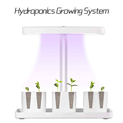 Alphatool 100 Pack Plant Seed Starters Sponges Compatible Seed Grow Pod Replacements Root Growth Sponges Gardening Accessories Fits AeroGarden Hydroponic Garden System Seed Starting