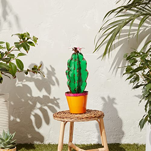 Rustic Arrow Cactus in Pot w/Flower Garden Art,Multicolor