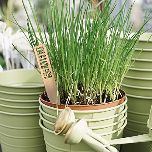 Boldernest Bamboo Herb Garden Markers - Set of 12 Beautiful Herb Garden Labels - Sturdy Herb Markers for Outdoor Garden or Potted Herbs - Lovely Herb Garden Signs