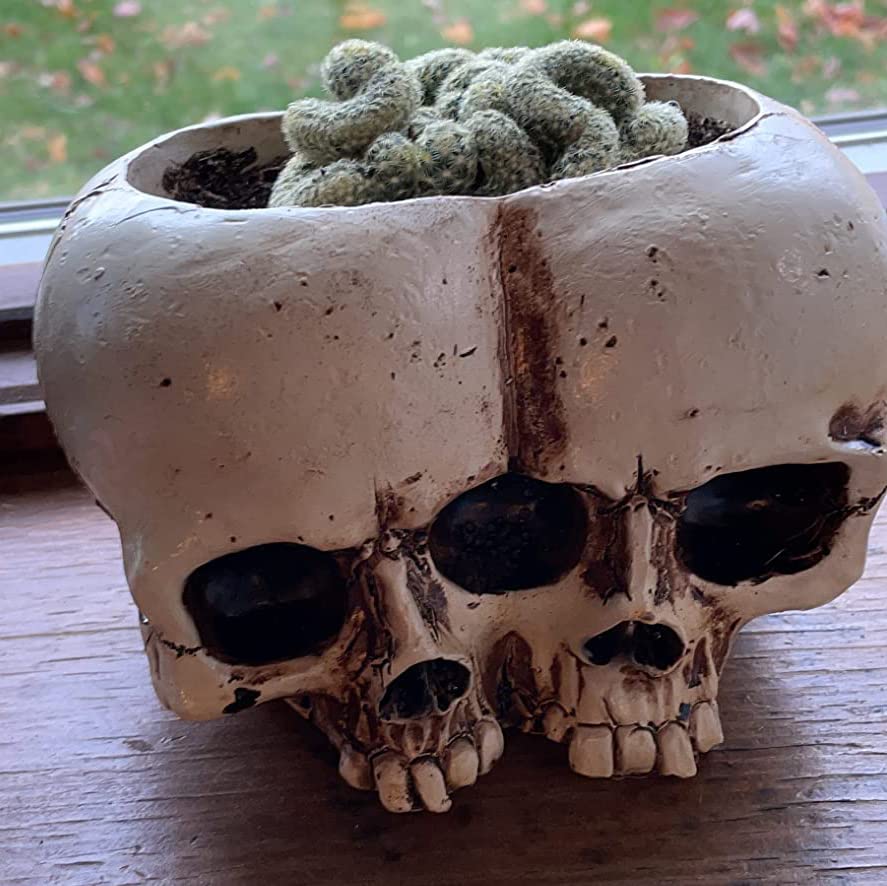 Skull Planter Pots for Indoor Plants, Skull Plant Pot Head Yard Art Outdoor and Garden Decor Outside Spring Skull Flower Pot for Home Decorations Birthday Gag Gifts Halloween (Double skull)