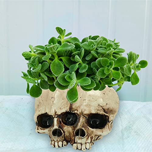 Skull Planter Pots for Indoor Plants, Skull Plant Pot Head Yard Art Outdoor and Garden Decor Outside Spring Skull Flower Pot for Home Decorations Birthday Gag Gifts Halloween (Double skull)