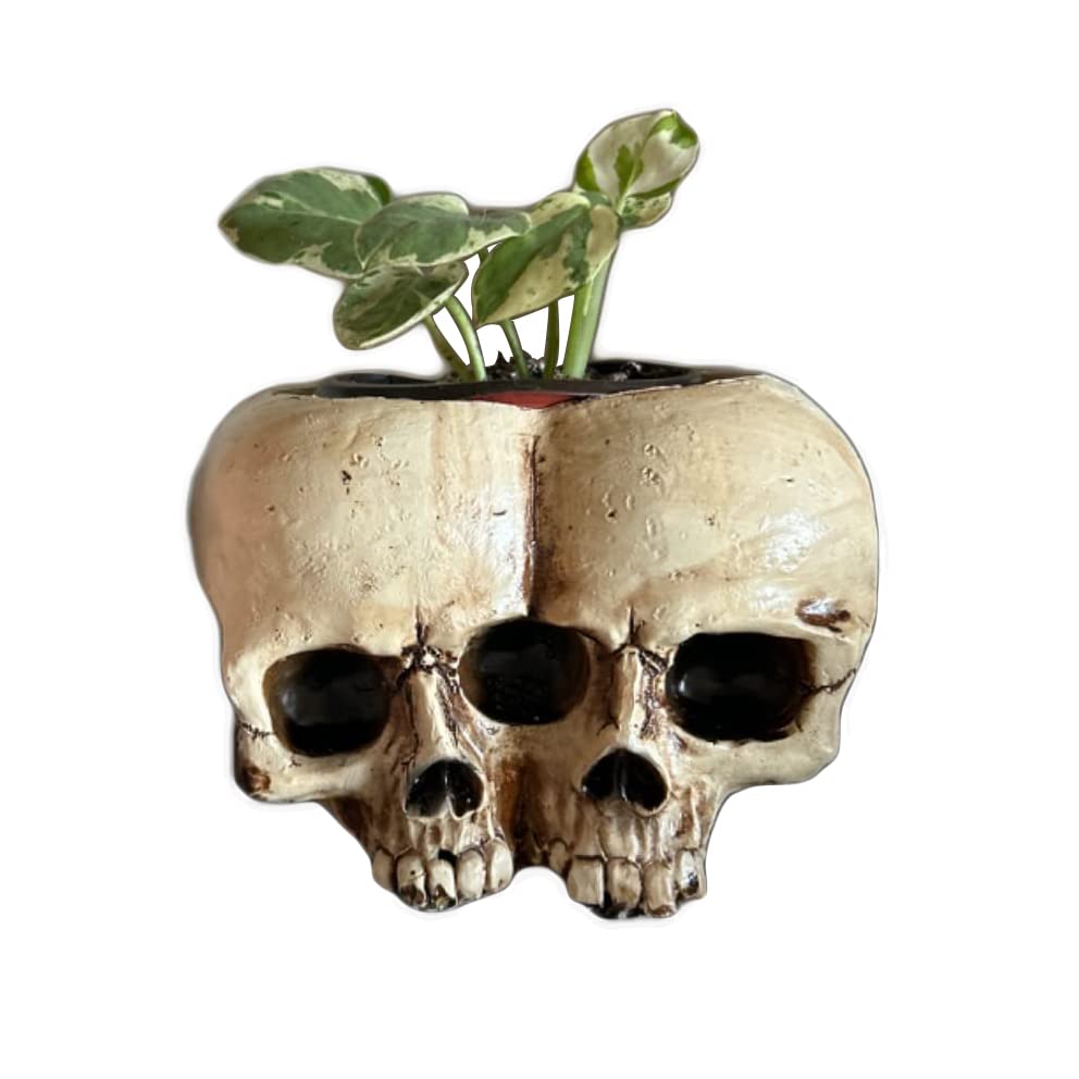 Skull Planter Pots for Indoor Plants, Skull Plant Pot Head Yard Art Outdoor and Garden Decor Outside Spring Skull Flower Pot for Home Decorations Birthday Gag Gifts Halloween (Double skull)