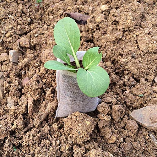 Cosweet 500 Pcs Biodegradable Seedling Plant Grow Bags, Non-Woven Plant Nursery Bags with Assorted Sizes for Soil Transplant Pouches Home Garden Agricultural Production Supply