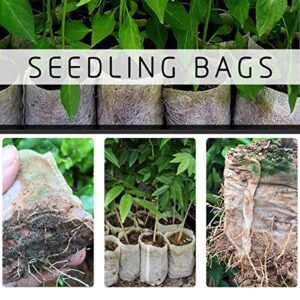 Cosweet 500 Pcs Biodegradable Seedling Plant Grow Bags, Non-Woven Plant Nursery Bags with Assorted Sizes for Soil Transplant Pouches Home Garden Agricultural Production Supply
