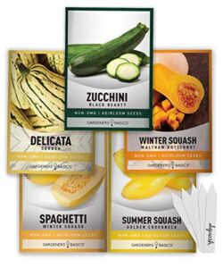 squash seeds for planting 5 individual packets – zucchini, delicata, butternut, spaghetti and golden crookneck for your non gmo heirloom vegetable garden by gardeners basics