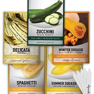 Squash Seeds for Planting 5 Individual Packets - Zucchini, Delicata, Butternut, Spaghetti and Golden Crookneck for Your Non GMO Heirloom Vegetable Garden by Gardeners Basics