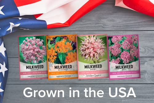 Milkweed Seeds For Monarch Butterflies (4 Variety Pack) Common, Showy, Butterfly and Rose Varieties Attracts Butterflies, Bees and Pollinators Heirloom Flower Seeds Wildflower Seed by Gardeners Basics