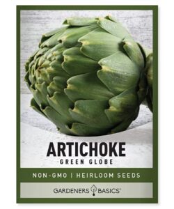 artichoke seeds for planting – green globe non-gmo perennial vegetable variety- 3 grams seeds great for summer gardens by gardeners basics