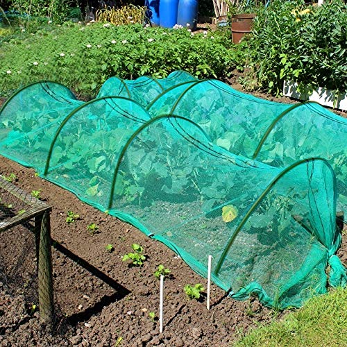 10pcs Garden Greenhouse Hoops, 19.7"x19.7" Grow Tunnel for Raised Bed, Bendable Rust Free Metal Gardening Hoop Houses Frame for Plant Cover Support Garden Fabric Low Growing Plant