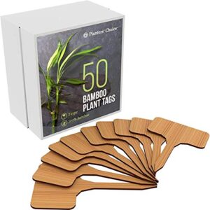 50 bamboo plant labels in gift box (t-type) – wooden plant tags – wood cheese markers