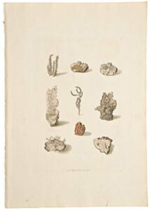 [mineral specimens] [pl. 6]