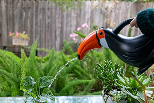 Brilliest Toucan Watering Can Indoor/Outdoor - Cute Watering Can - Bird Shaped Plastic Watering Can - Great for Plants/Indoor/Outdoor/Kids/Succulent - Small Watering Can