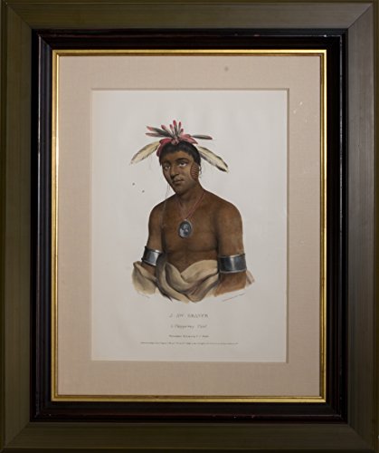 J-Aw-Beance, A Chippeway Chief