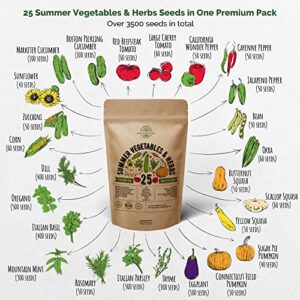 25 Summer Vegetable & Herb Garden Seeds Variety Pack for Planting Outdoors and Indoor Home Gardening 3500+ Non-GMO Heirloom Veggie & Herb Seeds: Tomato Pepper Okra Bean Cucumber Basil Rosemary & More