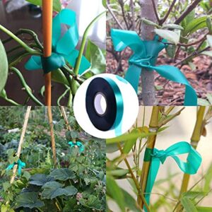 2 Rolls Stretch Tie Tape Garden Tie Tape Thick Plant Ribbon Garden Green Vinyl Stake for Indoor Outdoor Patio Plant Use, 1 Inch Wide by 150 Feet Long