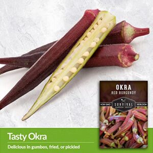 Survival Garden Seeds - Red Burgundy Okra Seed for Planting - Packet with Instructions to Plant and Grow Tender Burgundy Okra Pods in Your Home Vegetable Garden - Non-GMO Heirloom Variety