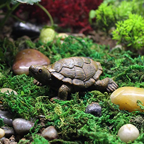 MAOMIA 2 Pcs Miniature Turtle Figurines, Fish Tank Decoration Fairy Garden Teutle Landscape Decor Ornament