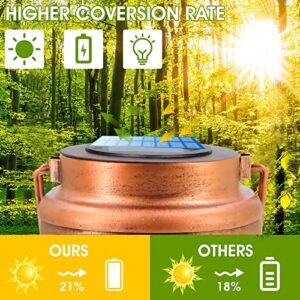 Solar Lantern Lights Outdoor Hanging, Metal Decor Lanterns-Waterproof LED Decorative Light for Garden, Patio, Yard Tree (Dragonfly)