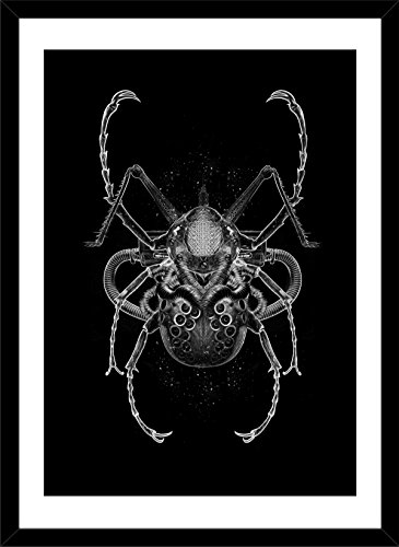 FANTASMAGORIK¨ INSECTS 1