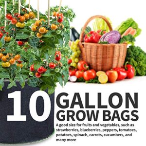 Garnen 10 Gallon Garden Grow Bags (5 Packs), Vegetable/Flower/Plant Growing Bags, Nonwoven Fabric Pots Planter for Outdoor and Indoor Planting