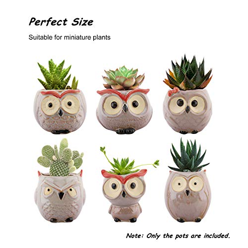 Lewondr Succulent Plant Pots, 6 Pack 2.5 Inch Mini Small Ceramic Owl Shaped Flower Pots with Drainage Holes, Flowerpots Planter Container Set for Home Office Desk Shelf Garden Patio Balcony Décor, 02