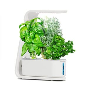 aerogarden sprout with gourmet herbs seed pod kit – hydroponic indoor garden, white