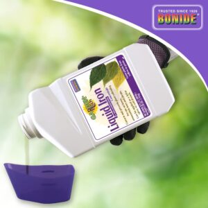 bonide 299 liquid iron complex fertilizer concentrate, 32-oz. – quantity 1
