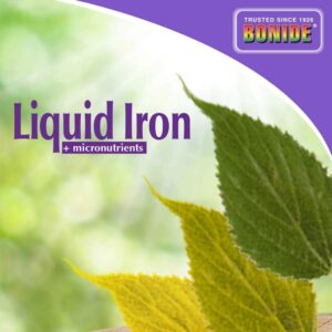 Bonide 299 Liquid Iron Complex Fertilizer Concentrate, 32-oz. - Quantity 1