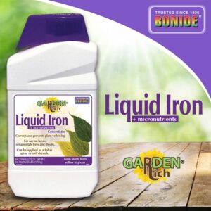 Bonide 299 Liquid Iron Complex Fertilizer Concentrate, 32-oz. - Quantity 1