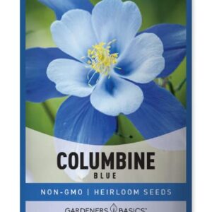 Blue Columbine Seeds for Planting (Aquilegia Seeds) - Beautiful Blue Perennial Flower to Plant in Your Flower Garden Open Pollinated, Non-GMO by Gardeners Basics