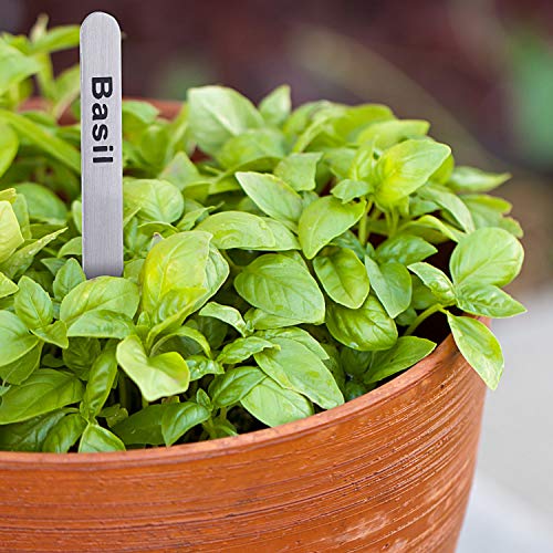 HERB BROS Stainless Aluminum Herb Markers [Set of 10] - Easy to Read Metal Plant Labels for Garden Herbs