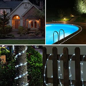 Solar Rope Light 33FT 100L IP65 Waterproof Outdoor LED Copper Fairy String Tube Lights for Party Garden Yard Home Wedding Christmas Halloween Holiday Decoration Lighting(Cool White)