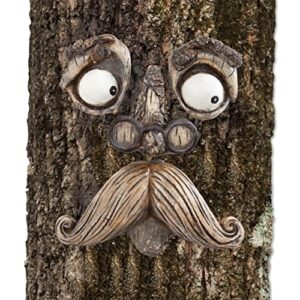 bits and pieces – ‘old man’ tree hugger – yard decorations – whimsical tree sculpture – garden decoration – garden peeker yard art
