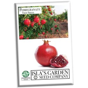 pomegranate tree seeds for planting, 30+ fruit tree seeds, tall & beautiful tree, (isla’s garden seeds), 85% germination rates, great home garden gift