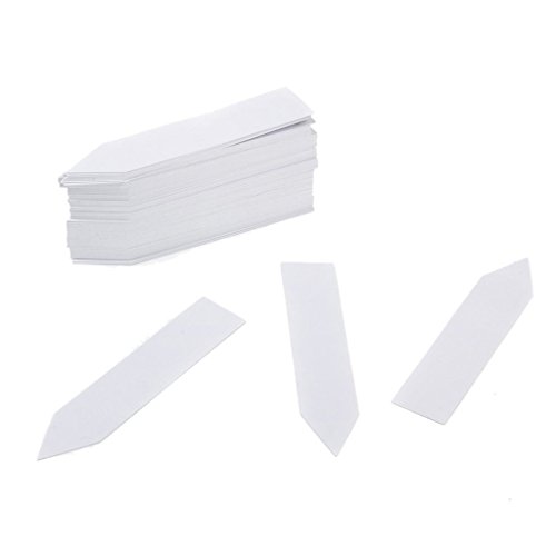 KINGLAKE 1000 Pcs 4 Inch Plant Tags Garden Nursery Labels Plastic Pot Labels White,Box of 1000