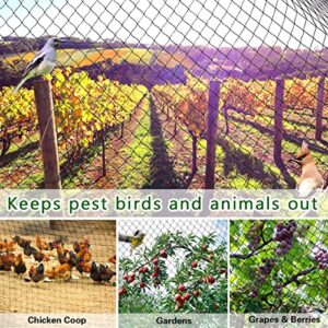 OGORI 25' x 100' Bird Netting Heavy Duty Nylon 3/4" Mesh Garden Netting Protect Fruit Trees, Plants and Vegetables