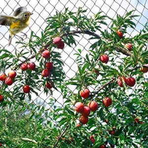 OGORI 25' x 100' Bird Netting Heavy Duty Nylon 3/4" Mesh Garden Netting Protect Fruit Trees, Plants and Vegetables