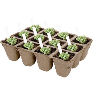 Jucoan 40 Pack Peat Pots Seed Starter Trays, 480 Cells Germination Seedling Pots, Organic Biodegradable Plant Germination Tray with 40 Plant Labels for Vegetable Flower, Herbs, Indoor Outdoor Garden