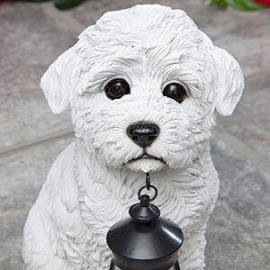 Bits and Pieces - Bichon Solar Lantern Statue - Solar Powered Garden Lantern - Resin White Dog Sculpture with LED Light - Outdoor Lighting and Décor Maltese, Bolognese, Coton de Tulear, Havanese