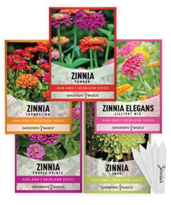 zinnia seeds for planting outdoors flower seeds (5 variety pack) thumbelina, lilliput, envy, purple prince and pompon varieties for butterflies, bees, pollinators wildflower seed by gardeners basics
