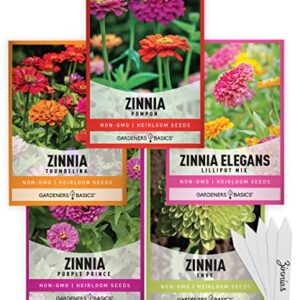 Zinnia Seeds for Planting Outdoors Flower Seeds (5 Variety Pack) Thumbelina, Lilliput, Envy, Purple Prince and Pompon Varieties for Butterflies, Bees, Pollinators Wildflower Seed by Gardeners Basics