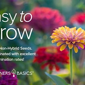 Zinnia Seeds for Planting Outdoors Flower Seeds (5 Variety Pack) Thumbelina, Lilliput, Envy, Purple Prince and Pompon Varieties for Butterflies, Bees, Pollinators Wildflower Seed by Gardeners Basics