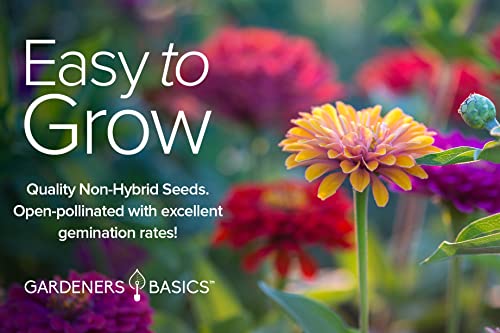 Zinnia Seeds for Planting Outdoors Flower Seeds (5 Variety Pack) Thumbelina, Lilliput, Envy, Purple Prince and Pompon Varieties for Butterflies, Bees, Pollinators Wildflower Seed by Gardeners Basics